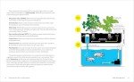 Aquaponics for Starters: Easy Plant and Fish Systems