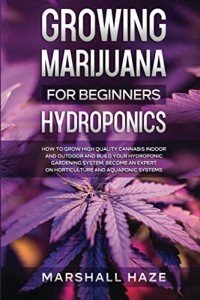 Beginner's Guide to Growing Cannabis Hydroponically