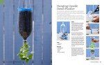 Urban Gardening Guide: Grow Plants Anywhere