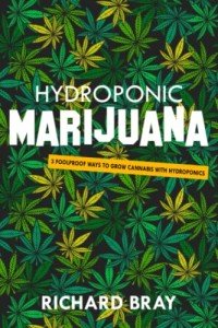 Easy Hydroponic Tips for Growing Cannabis