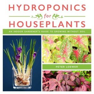 Indoor Hydroponics Guide for Thriving Houseplants