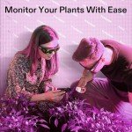 VIVOSUN 2-Pack Indoor Hydroponic Grow Glasses