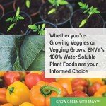 ENVY Hydroponics Nutrients A & B Combo