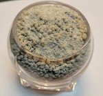 Mega Crop 1-Part Nutrient for Hydroponics & Soil