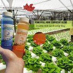 Hydroponics pH Up and Down Kit - 10oz