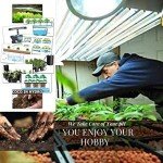 Hydroponics pH Up and Down Kit - 10oz