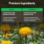 VIVOSUN pH Control Kit for Balanced Nutrient Uptake