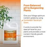 Humboldt's Secret pH Down Liquid Plant Balancer