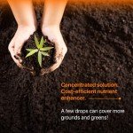 Humboldt's Secret pH Down Liquid Plant Balancer