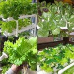LAPOND 3-Tier Hydroponics Growing System Kit