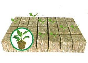 Rockwool Starter Plugs for Hydroponics - 28 Pack