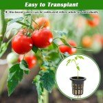 Rockwool Cubes for Hydroponics Seed Starting 100 Pcs