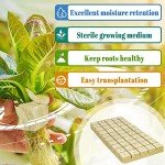 Hydroponic Seed Starter Rockwool Cubes - 100 Plugs