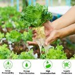 Hydroponic Seed Starter Rockwool Cubes - 100 Plugs