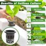 Rockwool Cubes for Hydroponics Seed Starting 100 Pcs