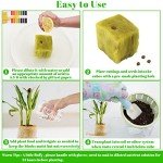 Hydroponic Seed Starter Rockwool Cubes - 100 Plugs