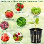 72PCS Rockwool Cubes & Net Cups Hydroponics Kit