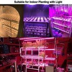 LAPOND 3-Tier Hydroponics Growing System Kit