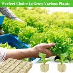 Hydroponic Seed Starter Rockwool Cubes - 100 Plugs