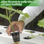 72PCS Rockwool Cubes & Net Cups Hydroponics Kit