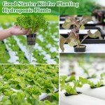 72PCS Rockwool Cubes & Net Cups Hydroponics Kit