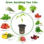 Rockwool Cubes for Hydroponics Seed Starting 100 Pcs