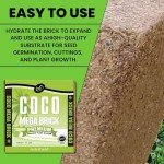 Coco Coir Mega Brick for Indoor and Outdoor Plants