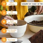 4 Pack Organic Coco Coir Bricks for Gardening