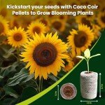 Organic Coco Coir Seed Starter Pellets - 50 Pack