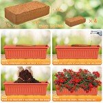 4 Pack Organic Coco Coir Bricks for Gardening