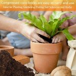 4 Pack Organic Coco Coir Bricks for Gardening