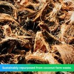 UrbanGro Coco Coir Brick - 10 LBS Expands to 2 Cu Ft