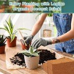 4 Pack Organic Coco Coir Bricks for Gardening