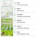 LAPOND 3-Tier Hydroponics Growing System Kit