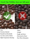 Organic Clay Pebbles for Hydroponics and Orchids
