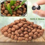 Halatool 2 LB Organic Expanded Clay Pebbles for Plants