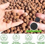 Organic Clay Pebbles for Hydroponics and Orchids