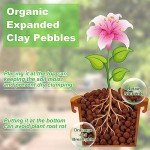 Organic Expanded Clay Pebbles for Indoor Plants