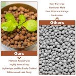 Organic Expanded Clay Pebbles for Indoor Plants