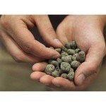 Gray Clay Pebble Grow Media - 1.5 Cu. Ft