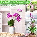 Organic Expanded Clay Pebbles for Indoor Plants