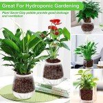 Organic Expanded Clay Pebbles for Indoor Plants