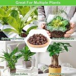 Organic Expanded Clay Pebbles for Indoor Plants