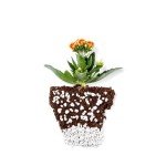 Organic Perlite for Plants - 24 Quart Bag