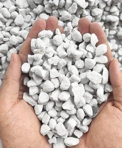 10QT Organic Perlite for Better Plant Drainage