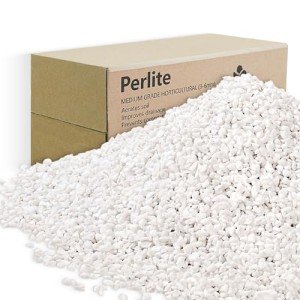 12QT Perlite for Enhanced Plant Drainage & Growth