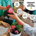 10QT Organic Horticultural Perlite for Plant Growth