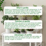 Coarse Perlite for Better Plant Growth and Drainage