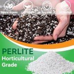 12QT Perlite for Enhanced Plant Drainage & Growth
