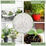 Perlite Soil Additive for Drainage and Growth 30Q